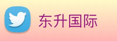 东升国际 logo